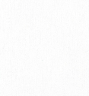 Клен белый N100